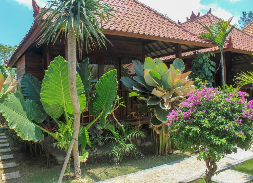 Pattri Dihati Lembongan Nusa Lembongan  Phòng bức ảnh